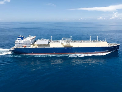 Sellos de aceite esqueléticos para aplicaciones marinas